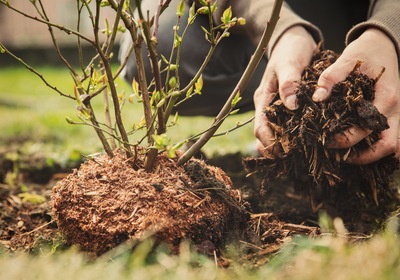 From Trash to Treasure: How We Turn Yard Waste to Eco-Friendly Mulch