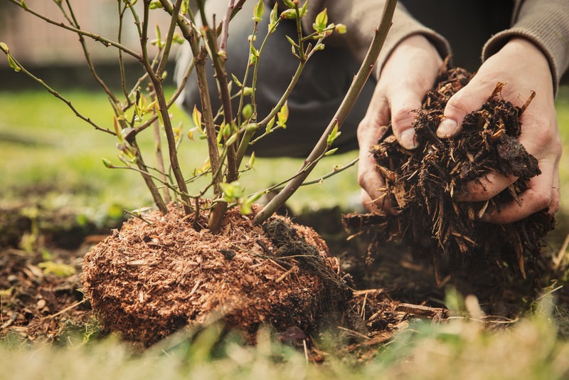 From Trash to Treasure: How We Turn Yard Waste to Eco-Friendly Mulch